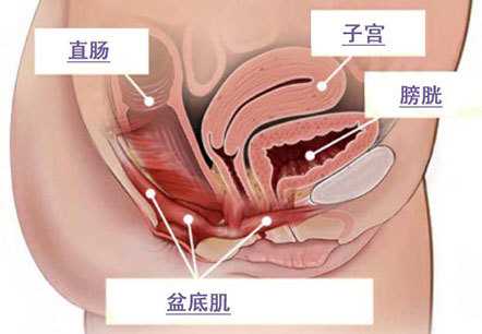 南京代孕中介平台，南京试管婴儿技术水平怎么样？