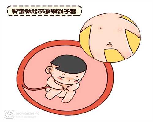 上海代孕在线咨询：孕妇能吃雪糕吗？怀孕吃雪