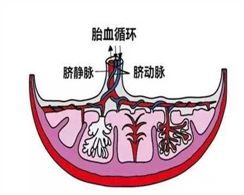 代孕上海代理：输卵管造影的副作用有哪些呀