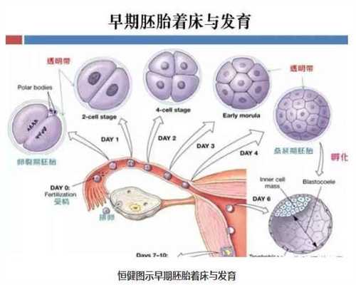 想找上海代孕中介：代孕双胞胎的公司：上海捐