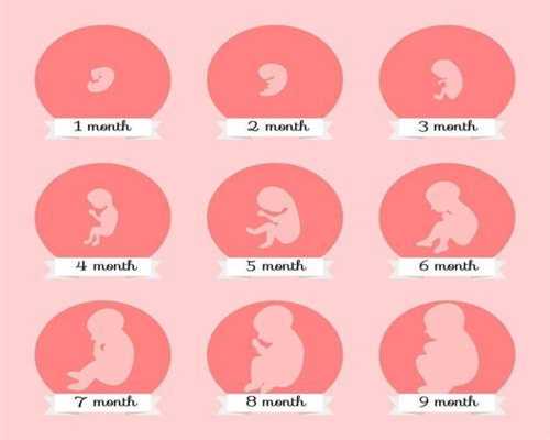 代孕双胞胎的公司：上海捐卵代孕医院：孕妈妈