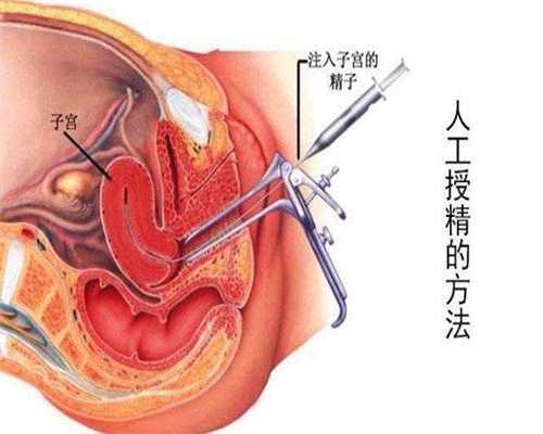 上海试管婴儿技术水平：开始上班了，换了一份