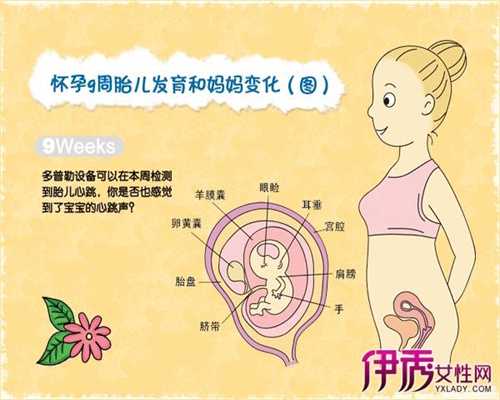 第一试管婴儿中心：[试管婴儿]囊胚移植第23天，