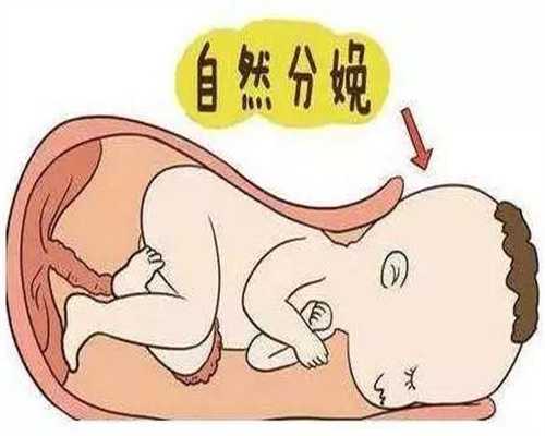 内分泌失调性代孕，反胃的一幕
