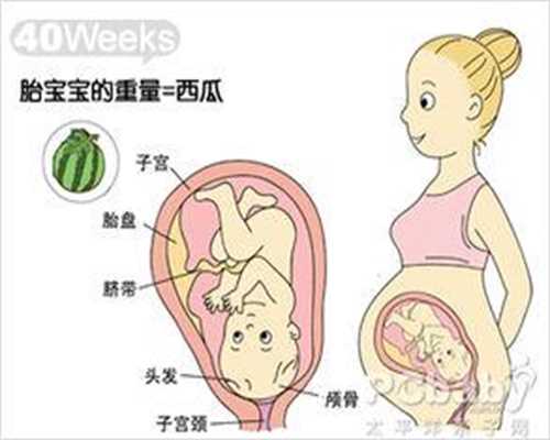 武汉代孕:输卵管两侧通而不畅请问可以自然怀孕