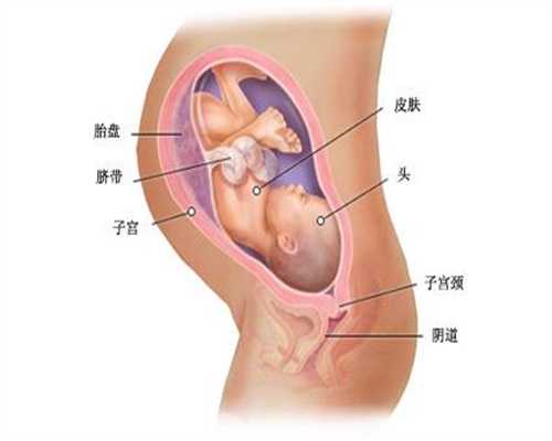代孕可以选择男女_借卵代孕的孩子像谁_子宫内膜