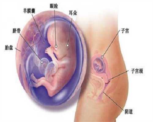 多囊卵巢可以代孕，代孕出国生下双胞胎_注意营