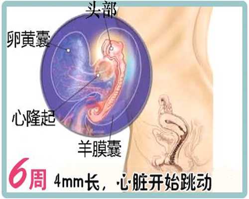上海宝贝代孕-上海中国代孕的价格-女生不孕怎么