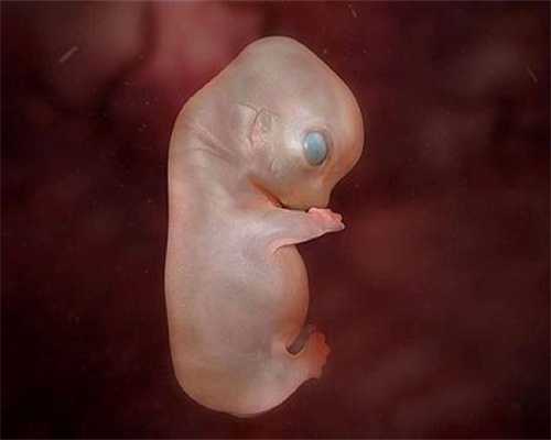 漳州代生宝宝-卵巢功能下降怎么调理-造成排卵障