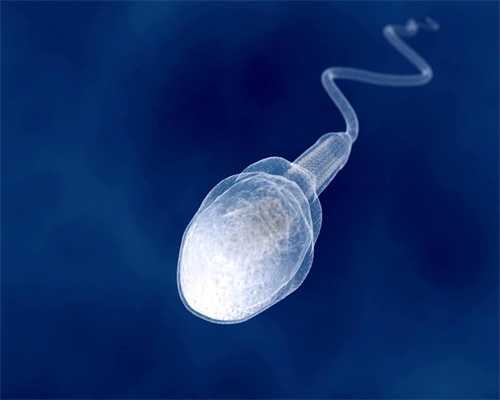 宫外孕与输卵管过长有关系吗,正规医院可以供卵