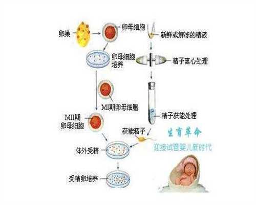 供卵医院~想代孕有联系方式吗“中国宝宝睡够了吗？”大型网络调研数据洞察