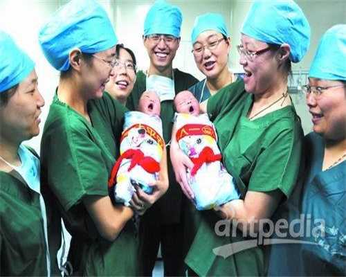 南京试管婴儿怀双胞胎几率南京个人自然同居代孕代怀孕了也能high到翻这七种