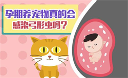 杭州代怀供卵代生价格，杭州供卵试管婴儿费用大概要多少钱？杭州供卵试管费